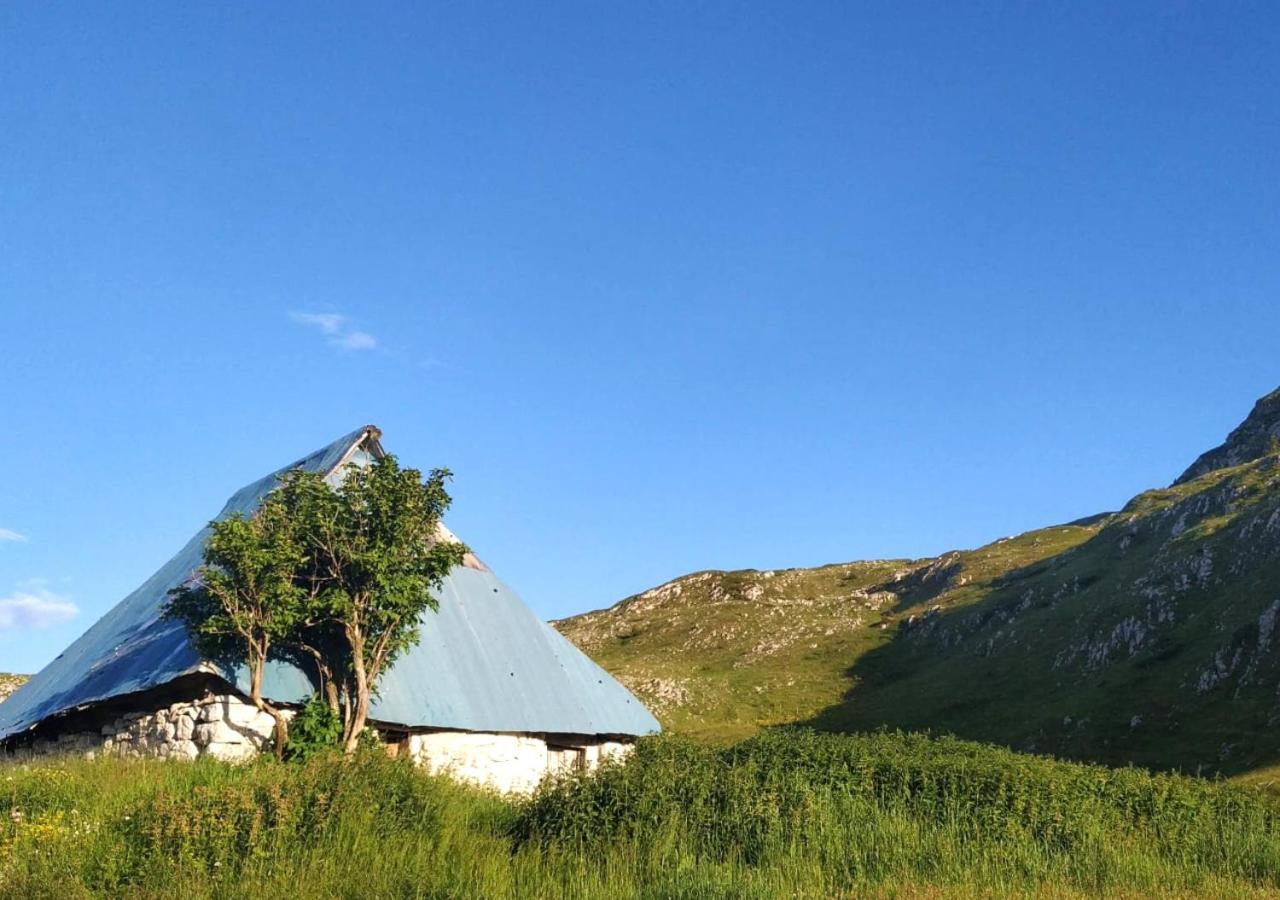 Katun Kuline Daire Kolaşin Dış mekan fotoğraf