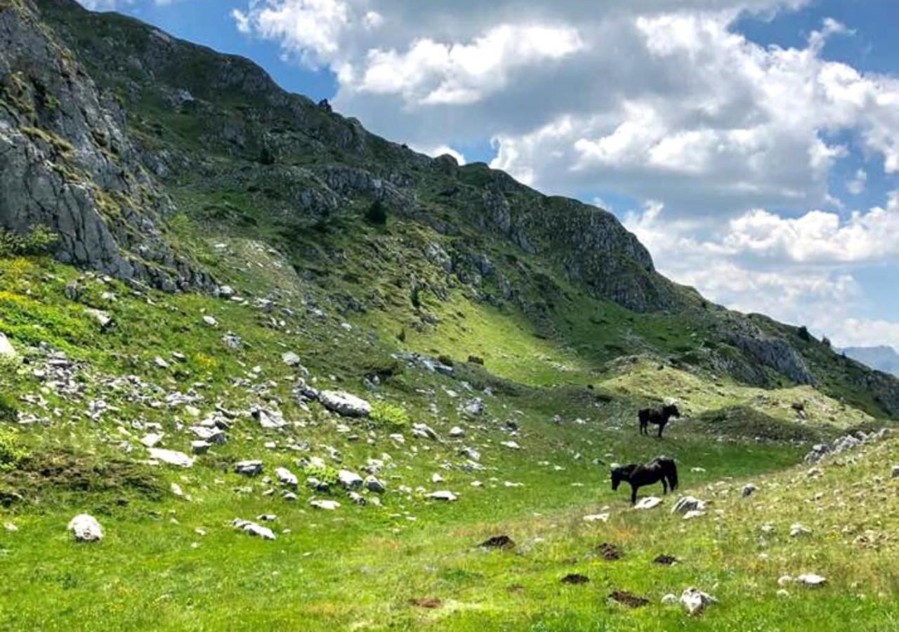 Katun Kuline Daire Kolaşin Dış mekan fotoğraf
