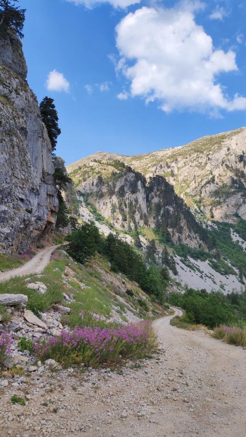 Katun Kuline Daire Kolaşin Dış mekan fotoğraf