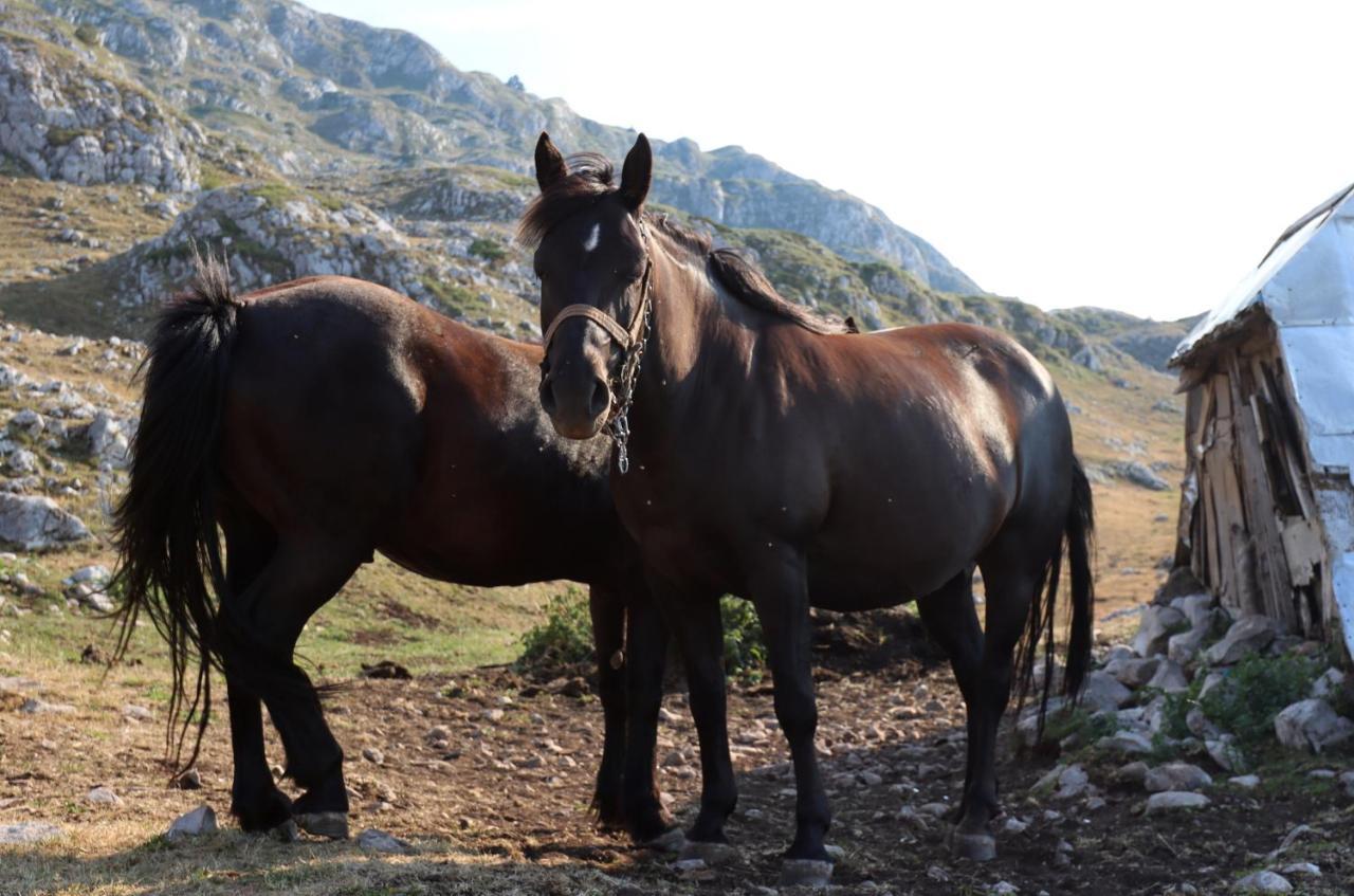 Katun Kuline Daire Kolaşin Dış mekan fotoğraf