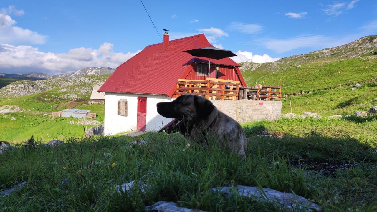 Katun Kuline Daire Kolaşin Dış mekan fotoğraf