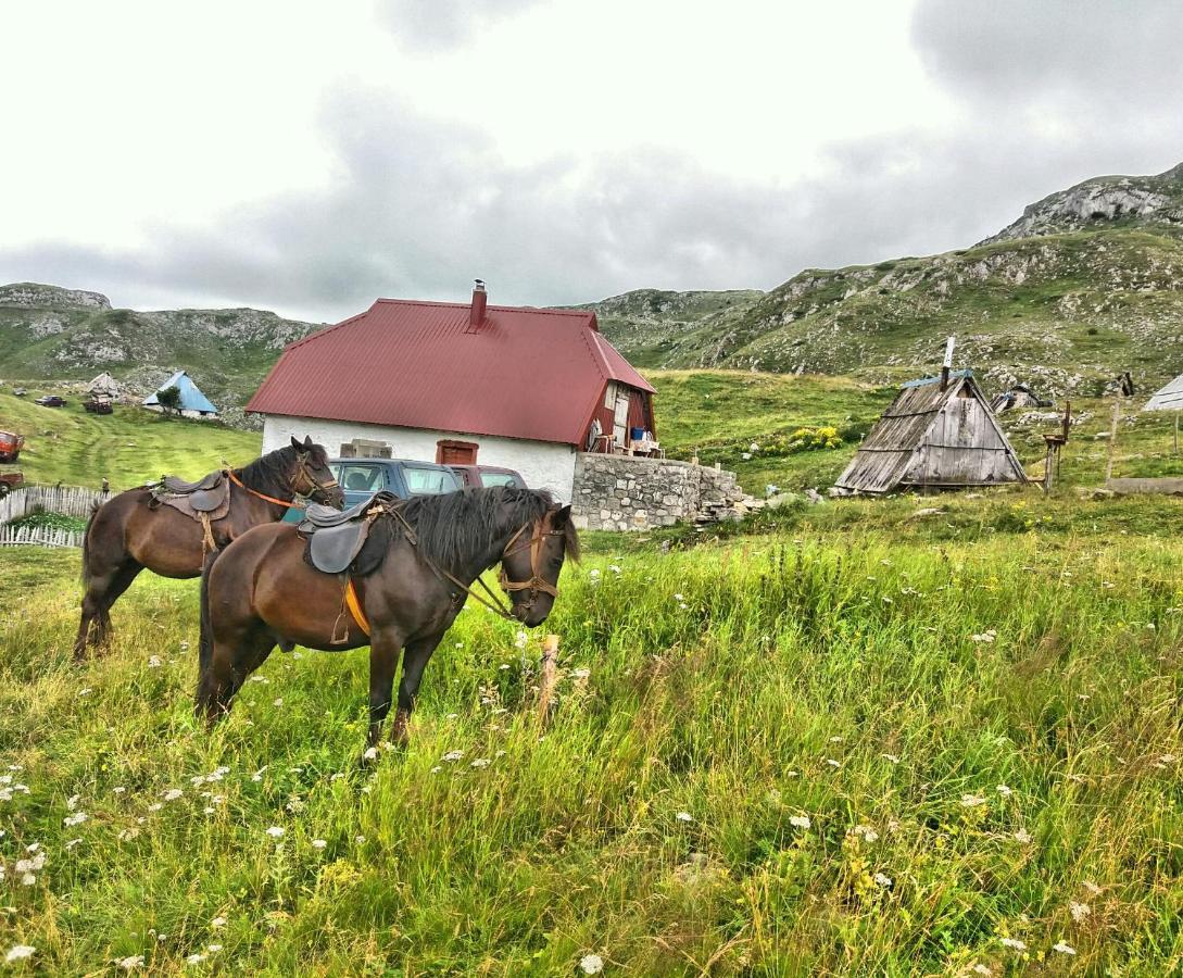 Katun Kuline Daire Kolaşin Dış mekan fotoğraf